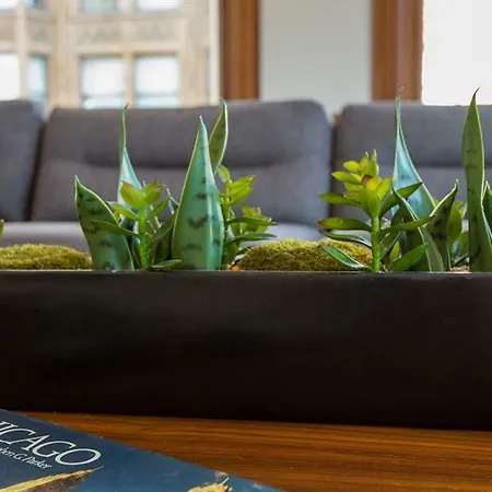 Hip 3Br In The Chicago Loop By Sonder Apartment